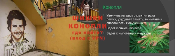 соль курить ск Белокуриха