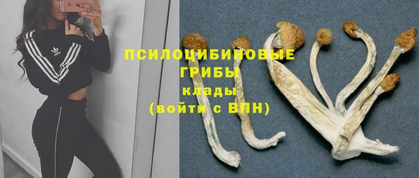 скорость Протвино