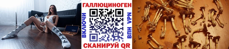 Псилоцибиновые грибы Psilocybe  купить наркотики сайты  Нарьян-Мар 
